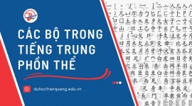  Khám phá các bộ trong tiếng Trung phồn thể: Yếu tố cơ bản của mọi từ!